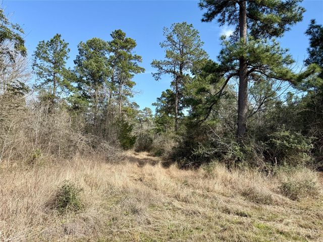 TBD Round Prairie Rd, Huntsville, TX 77320