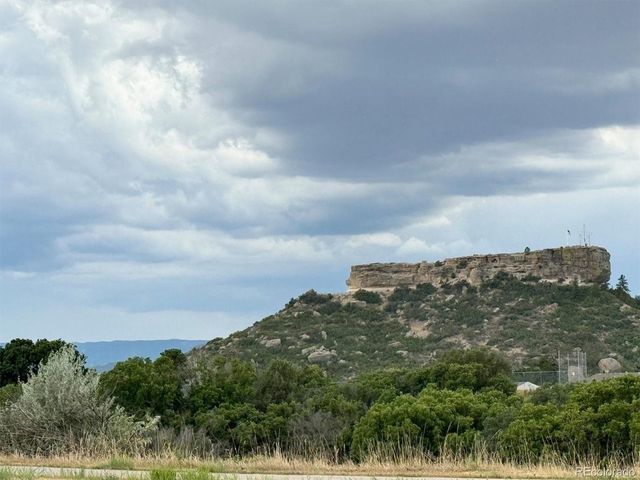 1307 Wildwood Ln, Castle Rock, CO 80104