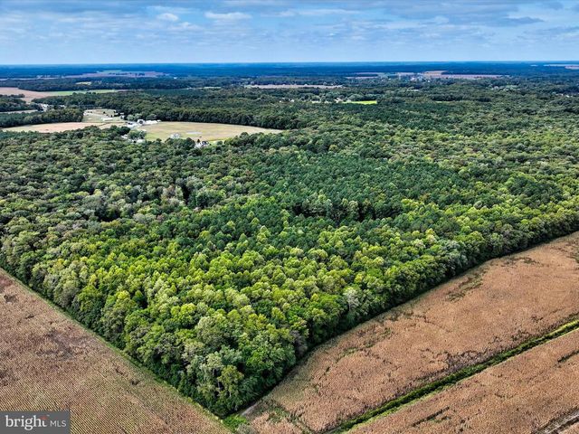 31700 HOLLY WOOD LN, Frankford, DE 19945