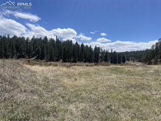 00 Wildhorn Road, Florissant, CO 80816