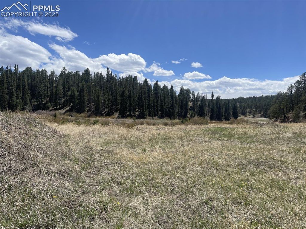 00 Wildhorn Road, Florissant, CO 80816 — exterior