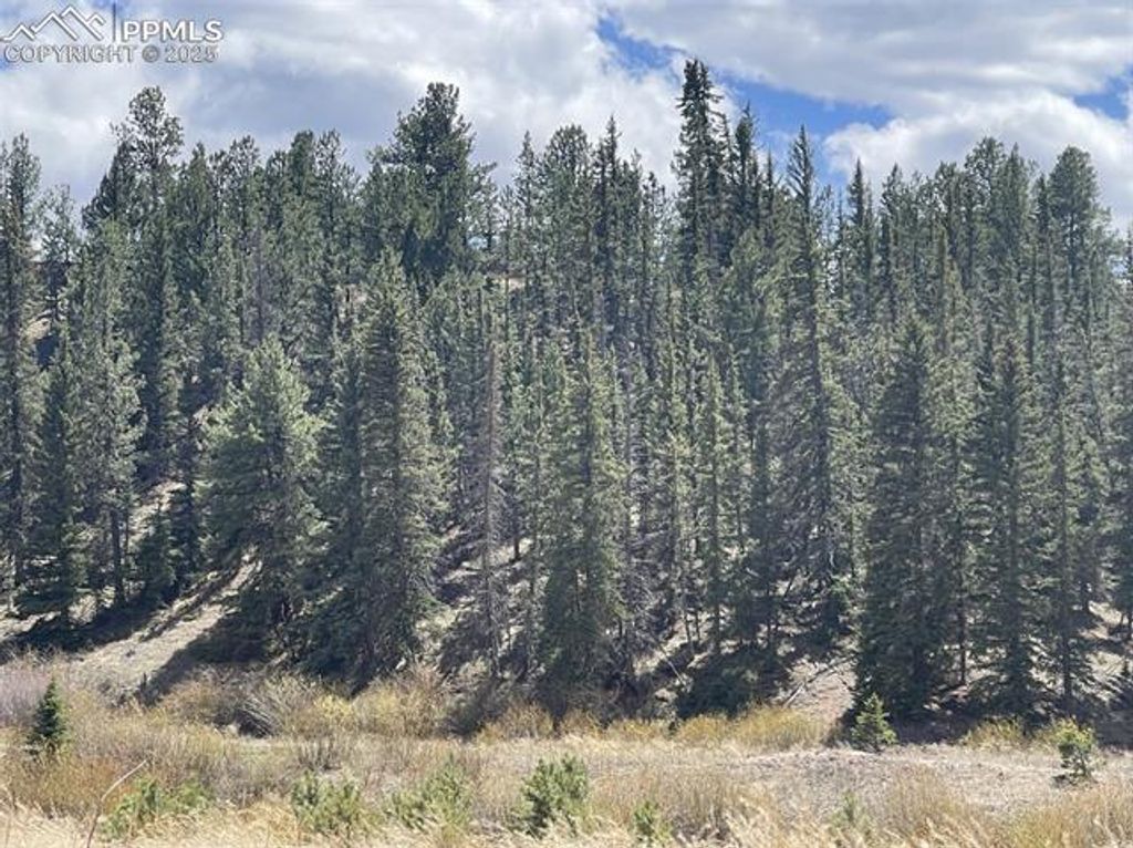 00 Wildhorn Road, Florissant, CO 80816 — photo 2