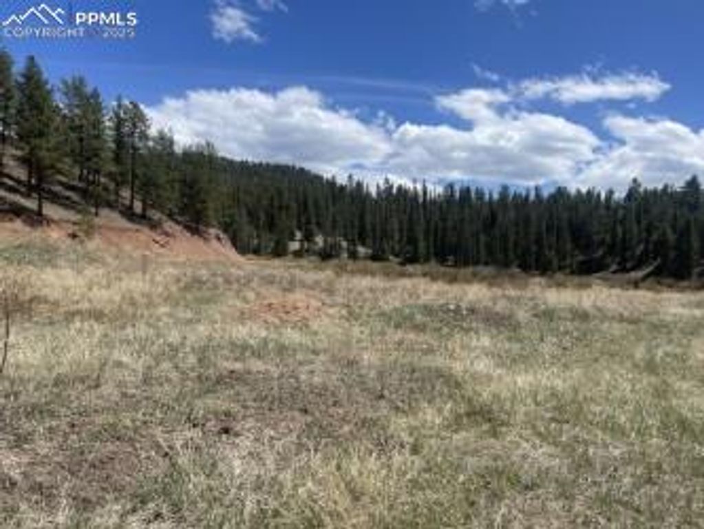 00 Wildhorn Road, Florissant, CO 80816 — photo 3