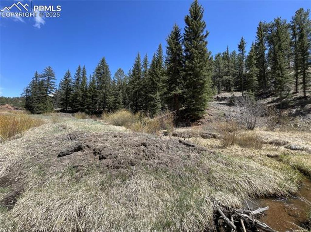 00 Wildhorn Road, Florissant, CO 80816 — photo 4