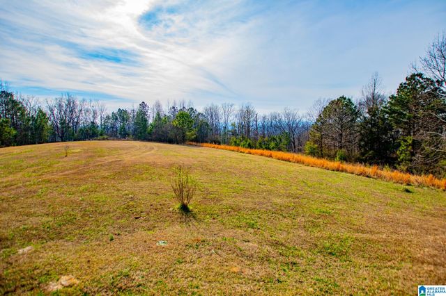 2107 COUNTY ROAD 71, Woodland, AL 36280
