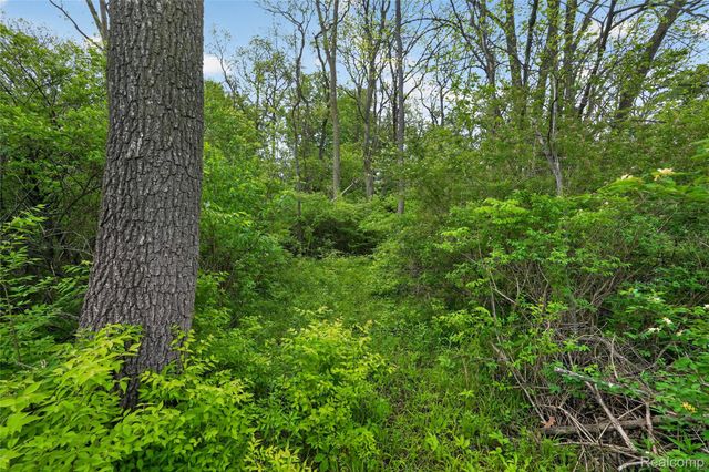 6235 Flushing Road, Mt. Morris Township, MI 48433