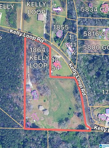 1864 KELLY LOOP ROAD, Mount Olive, AL 35117