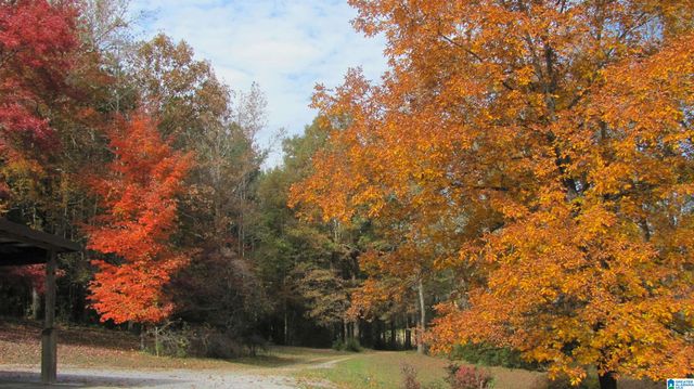 1864 KELLY LOOP ROAD, Mount Olive, AL 35117