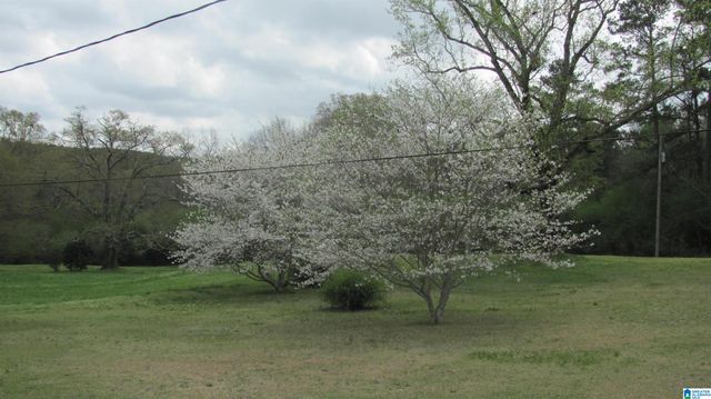 1864 KELLY LOOP ROAD, Mount Olive, AL 35117