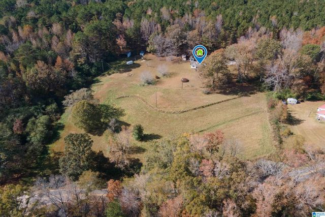 1864 KELLY LOOP ROAD, Mount Olive, AL 35117