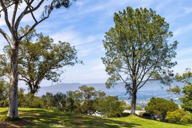 21552 Treetop Lane, Laguna Beach, CA 92651
