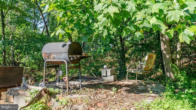 531 FOREST DRIVE EXT, Luray, VA 22835