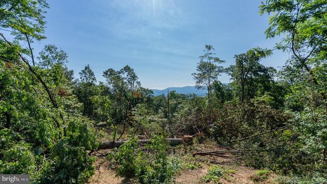531 FOREST DRIVE EXT, Luray, VA 22835