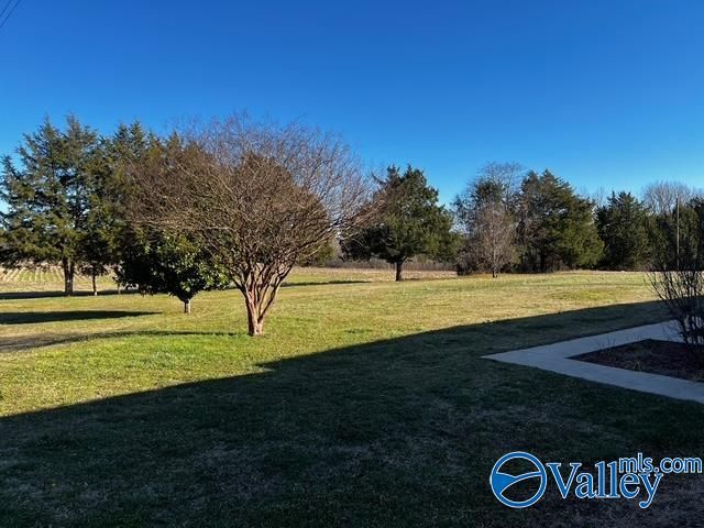 71 County Road 176, Moulton, AL 35650