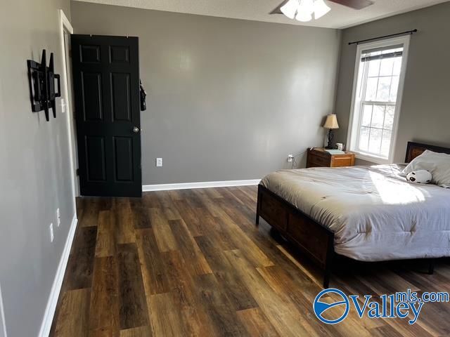 71 County Road 176, Moulton, AL 35650