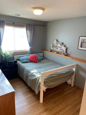 10115 Park Place Drive, Monticello, MN 55362