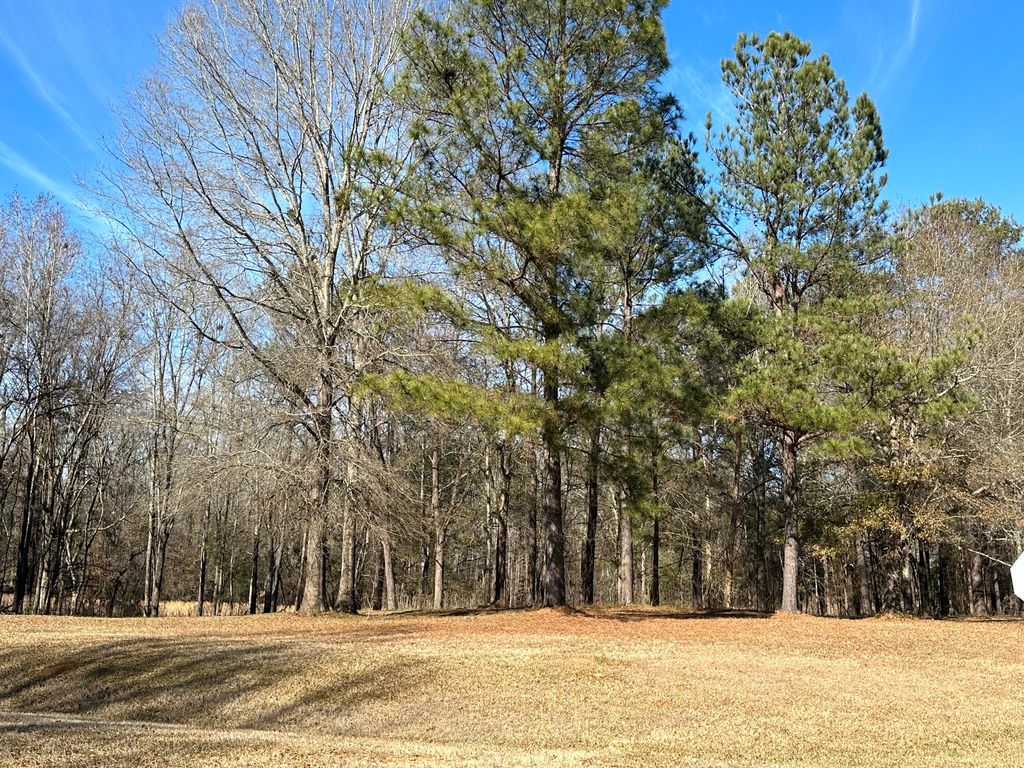 37 Crestridge Dr (Lot 37) Drive, Waynesboro, GA 30830