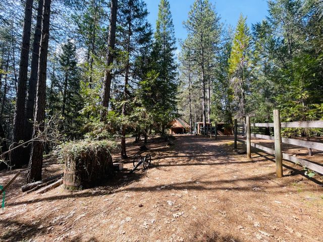 6950 Fools Canyon Rd, Georgetown, CA 95634