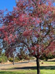 3898 Neal, Paradise, CA 95969