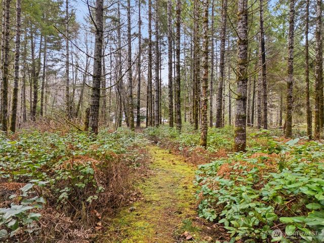 320 E Rivendell Road, Grapeview, WA 98964