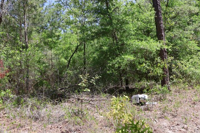 TBD SW 157TH LANE, Dunnellon, FL 34432
