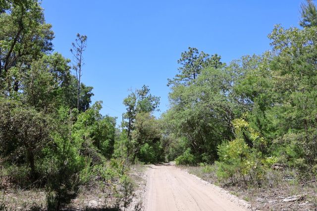 TBD SW 157TH LANE, Dunnellon, FL 34432