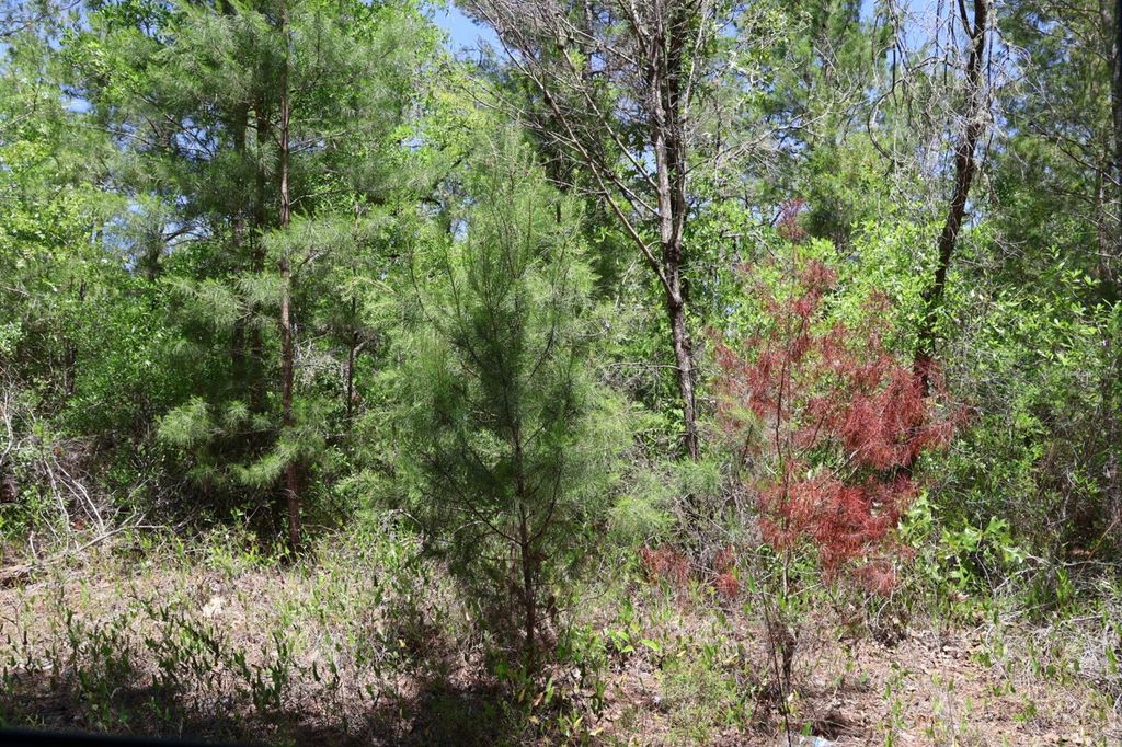 TBD SW 157TH LANE, Dunnellon, FL 34432