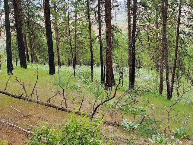 0 570X Tunk Creek Road, Riverside, WA 98849