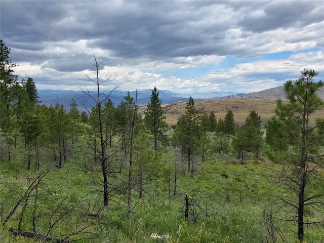 0 570X Tunk Creek Road, Riverside, WA 98849