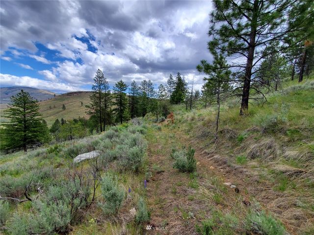 0 570X Tunk Creek Road, Riverside, WA 98849