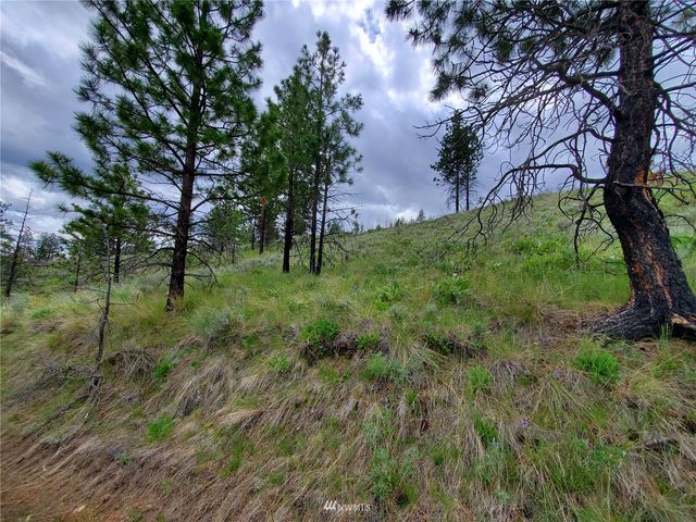 0 570X Tunk Creek Road, Riverside, WA 98849