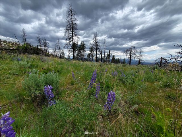 0 570X Tunk Creek Road, Riverside, WA 98849