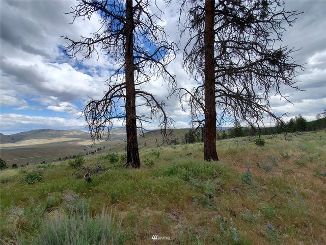 0 570X Tunk Creek Road, Riverside, WA 98849