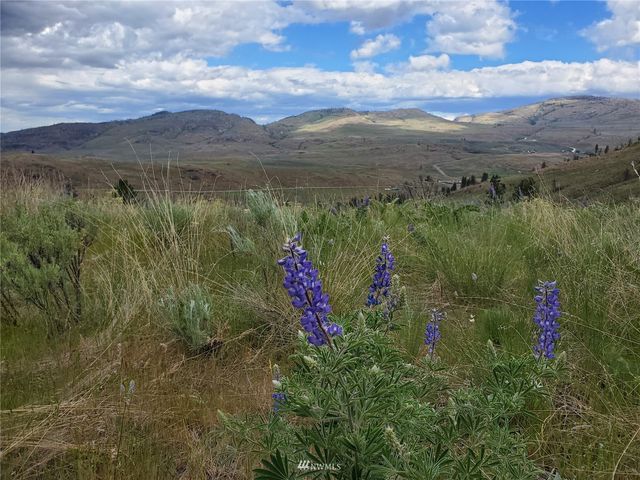 0 570X Tunk Creek Road, Riverside, WA 98849