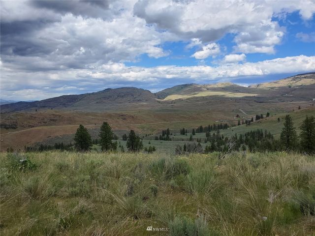 0 570X Tunk Creek Road, Riverside, WA 98849