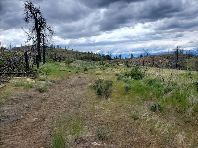 0 570X Tunk Creek Road, Riverside, WA 98849