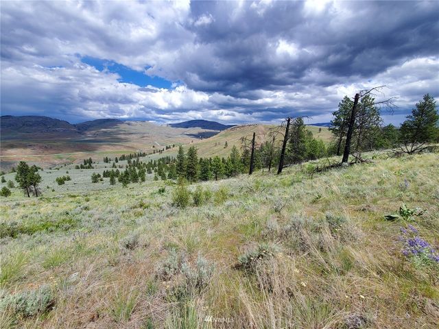 0 570X Tunk Creek Road, Riverside, WA 98849