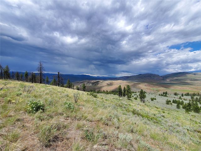 0 570X Tunk Creek Road, Riverside, WA 98849