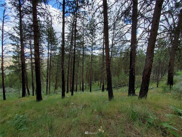 0 570X Tunk Creek Road, Riverside, WA 98849