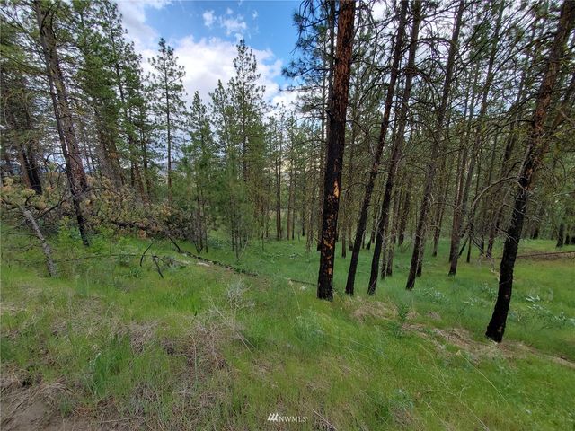 0 570X Tunk Creek Road, Riverside, WA 98849