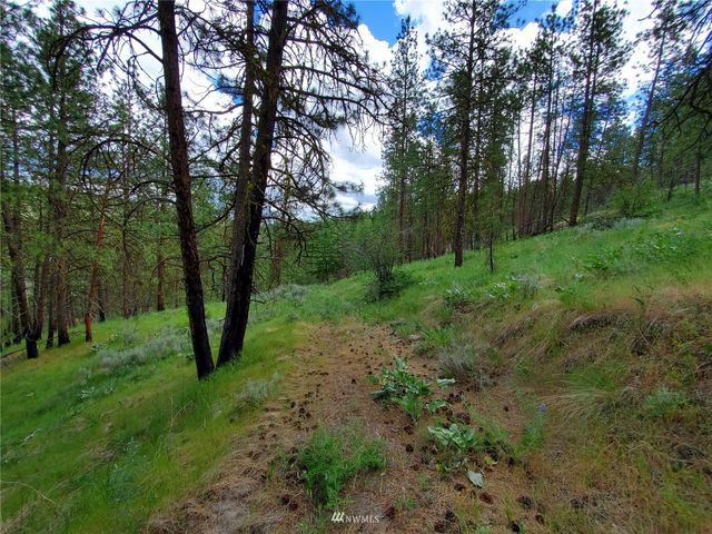 0 570X Tunk Creek Road, Riverside, WA 98849