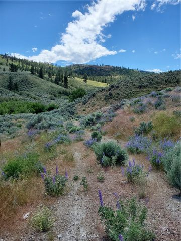 0 570X Tunk Creek Road, Riverside, WA 98849