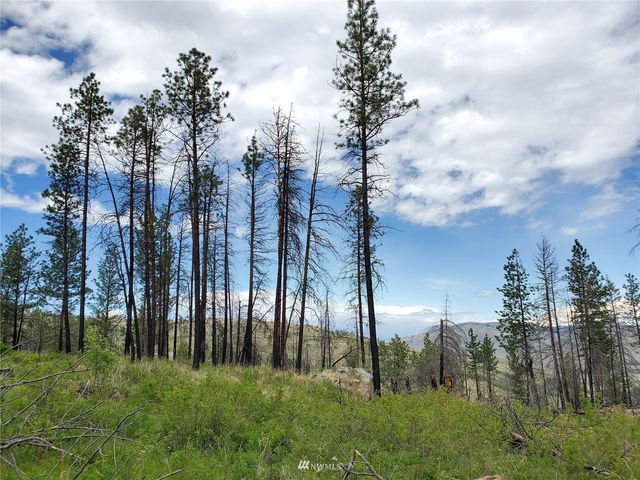 0 570X Tunk Creek Road, Riverside, WA 98849