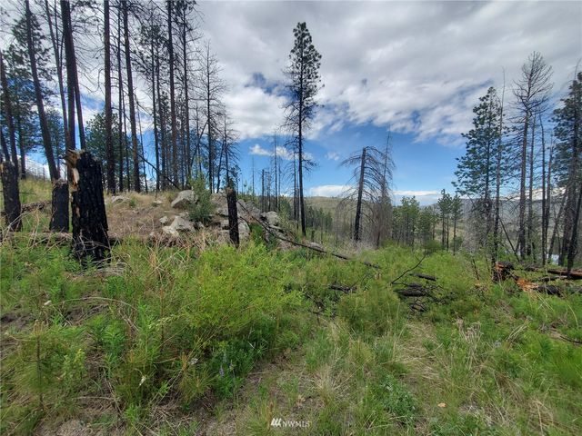 0 570X Tunk Creek Road, Riverside, WA 98849