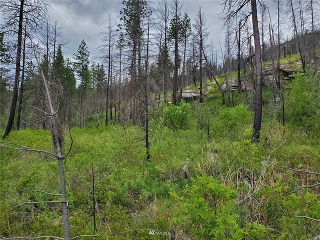 0 570X Tunk Creek Road, Riverside, WA 98849