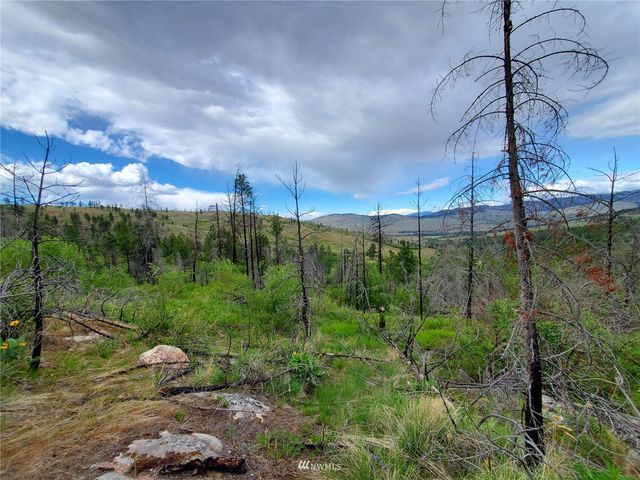 0 570X Tunk Creek Road, Riverside, WA 98849