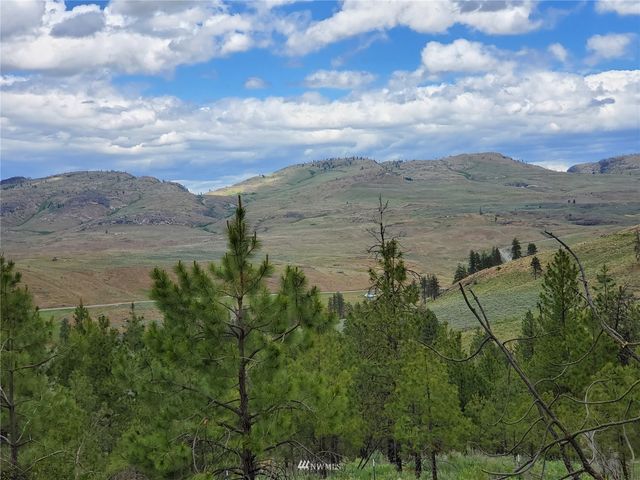 0 570X Tunk Creek Road, Riverside, WA 98849