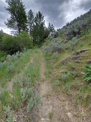 0 570X Tunk Creek Road, Riverside, WA 98849