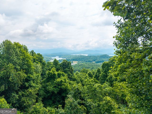 1748 Harris Ridge Road, Young Harris, GA 30582