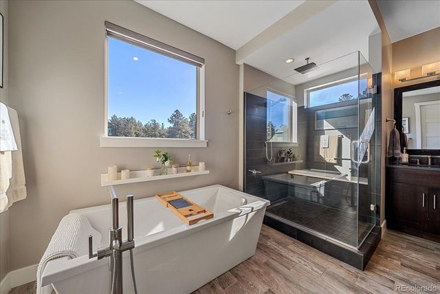 230 S Big Meadow Trail, Franktown, CO 80116